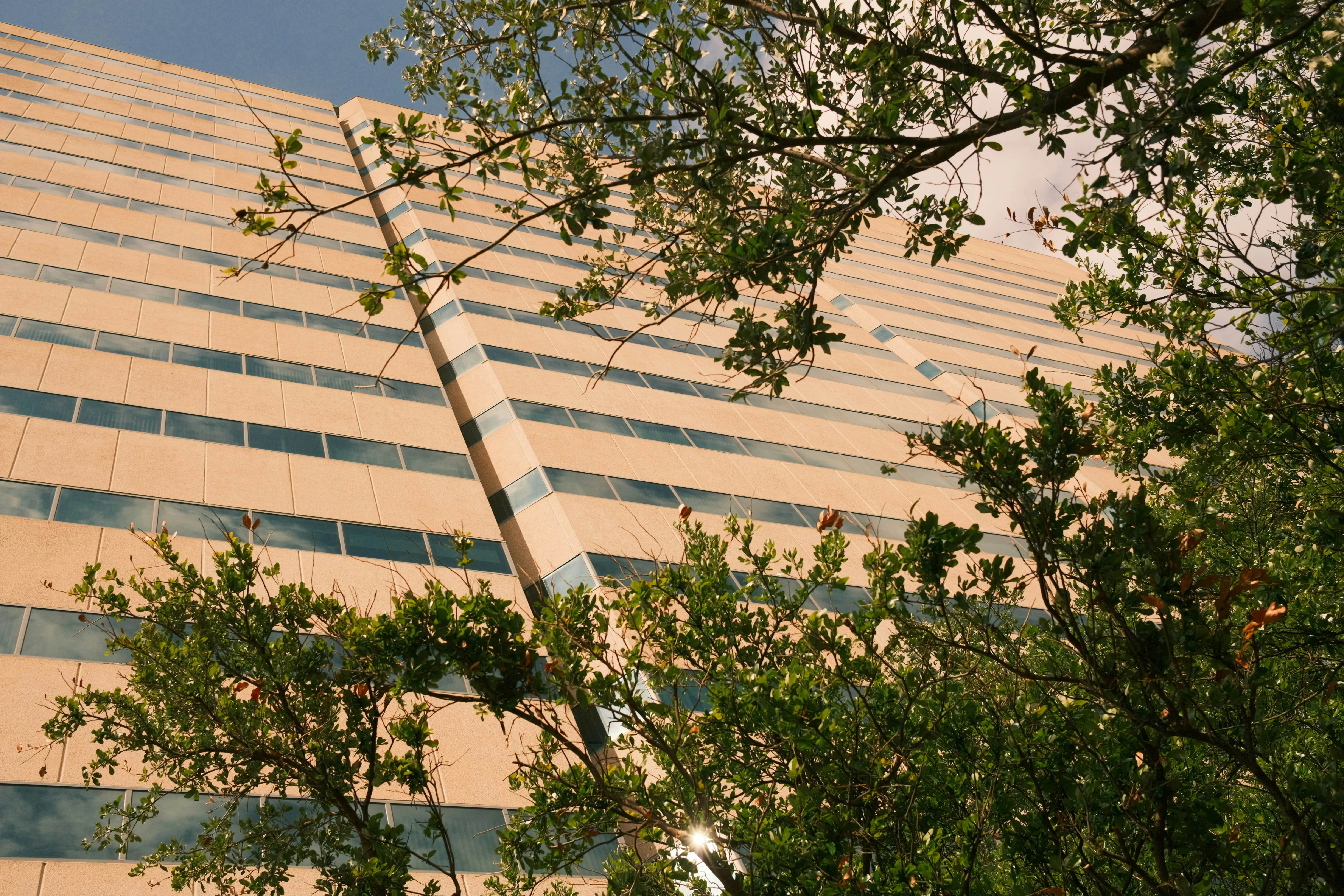Commercial cleaning in Irving, TX